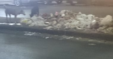 شكوى من تراكم القمامة بأرصفة شارع بورسعيد فى السيدة زينب