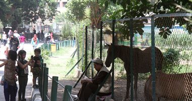 صور.. تزايد الإقبال على حديقة الحيوان بالجيزة ثانى أيام عيد الأضحى