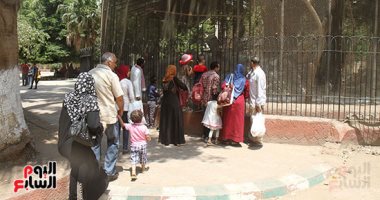 حدائق الحيوان المركزية تؤكد استعادة الأسد هوجان القدرة على الرؤية خلال أسبوع