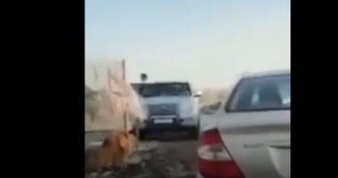 شاهد.. "أسد" طليق يثير الرعب فى شوارع الكويت بعدما هاجم السيارات