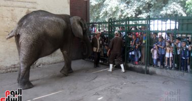 إقبال المواطنين على حديقة الحيوان فى ثالث أيام العيد
