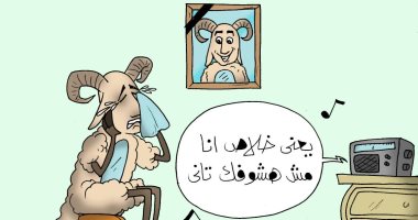 "يعنى خلاص مش هشوفك تانى" حزن الخرفان على أشقائهم بكاريكاتير اليوم السابع