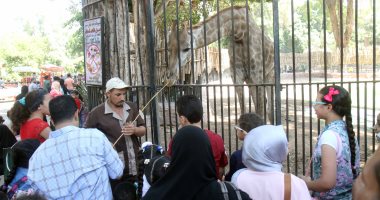 فيديو.. حديقة الحيوان بالجيزة "كامل العدد" فى رابع أيام عيد الأضحى