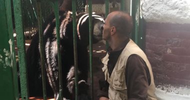فيديو.. الدبة "سماح" تقبل حارسها أمام زوار حديقة الحيوان  
