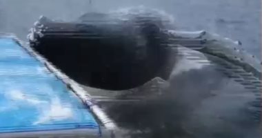 شاهد.. حوت أحدب ضخم مرعب يقفز على قارب ركاب