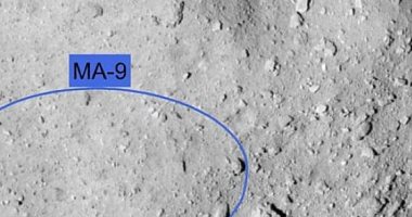 المركبة ماسكوت تهبط على سطح الكويكب "ريوجو" 3 أكتوبر المقبل