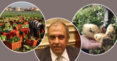"الزراعة" تعلن عن تصدير 4 ملايين و560 ألف طن خضر وفاكهة منذ بداية العام