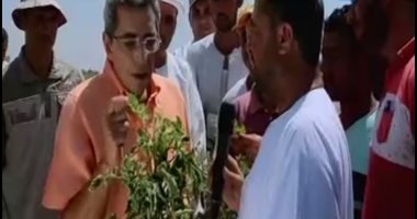 شاهد.. محمود سعد ينشر تقريرًا عن محاصيل الطماطم فى منطقة وادى النطرون