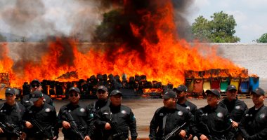 حرق أطنان من المخدرات والمواد الكحولية فى المكسيك