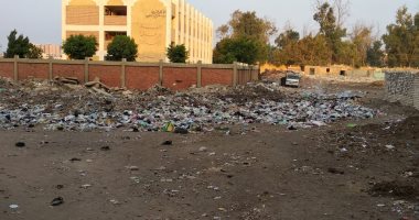 القمامة تحاصر معهد الرملة الأزهرى ببنها.. والأهالى يطالبون بصناديق