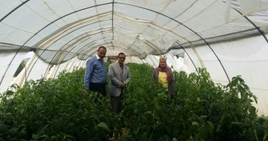 وزير الزراعة: مركز البحوث الزراعية دوره تأمين الغذاء للمصريين