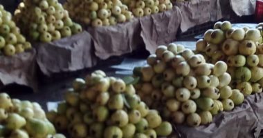 أسعار 10 أصناف فاكهة بسوق العبور.. الجوافة من 9 لـ17 جنيها