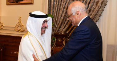 رئيس مجلس النواب يشيد بخصوصية العلاقات المصرية البحرينية 
