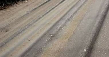 قارئ يطالب برصف طريق ترعة النوبارية بمحافظة البحيرة