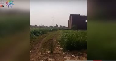 فيديو.. تعد على الأرض الزراعية بأوسيم وغياب تام للمحليات