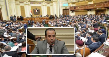 رئيس "اتصالات البرلمان": 2800 صفحة بثت 3000 شائعة مغلوطة عن كورونا فى مصر