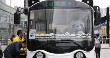 فى كوكب اليابان.. حافلات على شكل باندا لإسعاد المواطنين.. صور