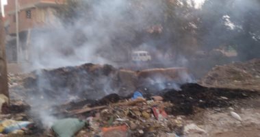 فيديو وصور.. حرق القمامة بمدخل قرية بالمنوفية عرض مستمر