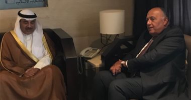 سامح شكرى يبحث مع وزير خارجية الكويت مواجهة التدخلات الخارجية فى الشؤون العربية