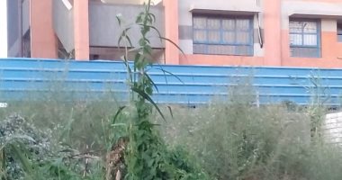 فيديو.. أهالى قرية الروضة بالدقهلية يطالبون إعادة بناء مدرسة بعد هدمها