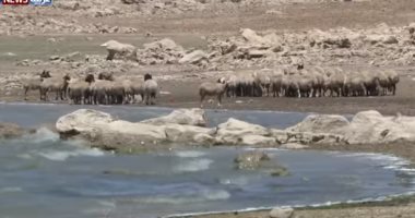 تعرف على مسببات تلوث نهر "الليطانى" فى لبنان.. فيديو