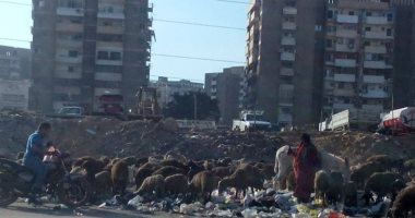قارئة ترصد انتشار المخلفات والقمامة بشوارع مدينة نصر