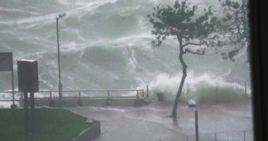أمطار غزيرة تضرب اليابان مع احتمالات تعرض شبه الجزيرة الكورية لإعصار داناس