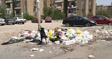 قارئ يشكو انتشار القمامة بشوارع زهراء مدينة نصر