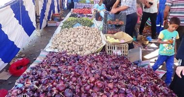 استقرار أسعار الخضروات والفواكه وارتفاع طفيف فى البطاطس