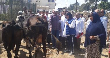 صور.. نائب وزير الزراعة تتفقد حملة التحصين ضد مرض الحمى القلاعية بالبحيرة