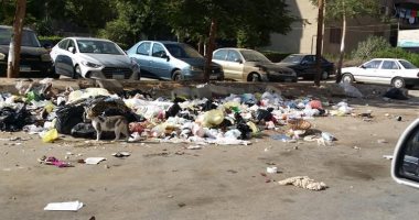 قارئ يشكو من انتشار القمامة بالحى العاشر بمدينة نصر