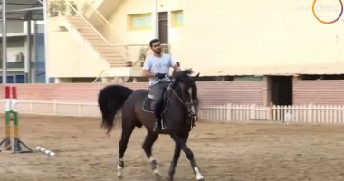 فيديو.. "الفروسية" علاقة وطيدة بين فارس وحصان