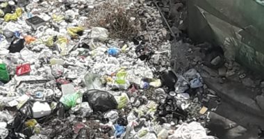 قارىء يشكو انتشار القمامة بالقرب من مدرسة فى مدينة نصر