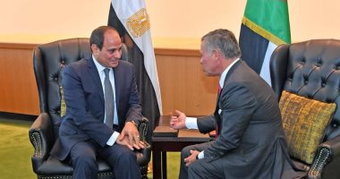 متحدث الرئاسة: زعيما مصر والأردن أكدا أهمية التوصل لحل عادل للقضية الفلسطينية