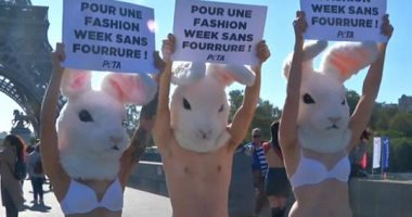 فيديو.. فرنسيون يتظاهرون بملابس داخلية ضد استخدام "فرو الحيوانات" بالأزياء