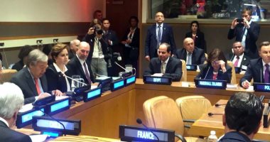 النائب على بدر: اهتمام العالم بكلمة السيسي بالأمم المتحدة يعكس مكانة مصر الدولية