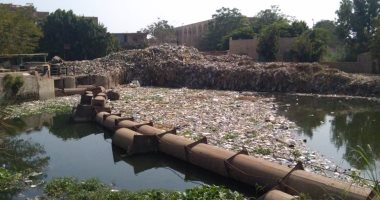 شكوى من انتشار القمامة والروائح الكريهة أمام المعهد الأزهرى بالسنطة 