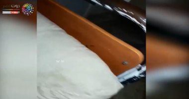 قارئ يشارك بفيديو لصراصير على أسرة مستشفى دسوق العام