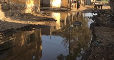 شكوى من غرق شوارع قرية أصف فى كفر الشيخ بمياه الصرف الصحى