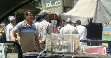 تحرير 22 مخالفة تموينية بمدينة ساقلتة فى سوهاج