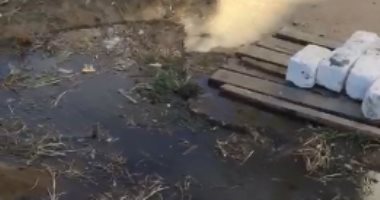 فيديو.. طابور الصبح بمدرسة الشهيد معاذ القصبى فى دمياط وسط مياه الصرف