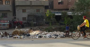 قارئ يشكو من انتشار القمامة بقرية برج نور فى الدقهلية