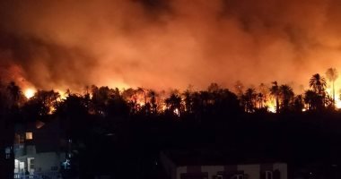 فيديو وصور.. الدفاع المدنى بالوادى الجديد يقيم حزاما عازلا بين حريق الراشدة والمناطق السكنية 