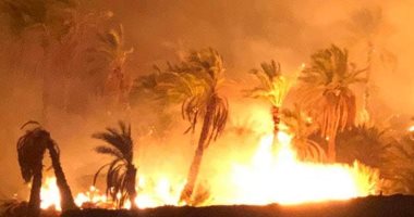 فيديو وصور.. الحرائق تصل إلى المناطق السكنية بالراشدة بسبب الرياح