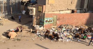 قارئ يشكو من تراكم القمامة أمام المسجد الكبير ومحطة مترو عزبة النخل