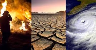 تحذيرات من تأثير تغير المناخ والاحتباس الحرارى على زيادة الأمراض