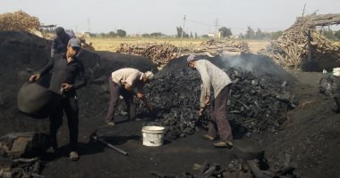 محافظة البحيرة تقرر حظر تشغيل مكامير الفحم حتى نهاية نوفمبر