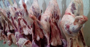 طوارئ بمديريات الطب البيطرى لتلقى شكاوى غش اللحوم فى عيد الفطر