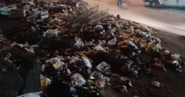 قارئ يشكو من انتشار القمامة بشارع الألف مسكن بمنطقة جسر السويس