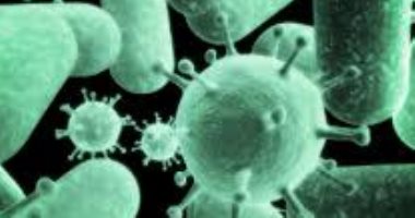 ما الفرق بين العدوى البكتيرية والعدوى الفيروسية؟